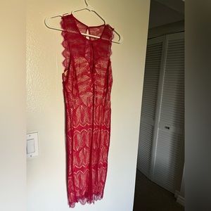 Slinky, lacy Bebe cocktail dress